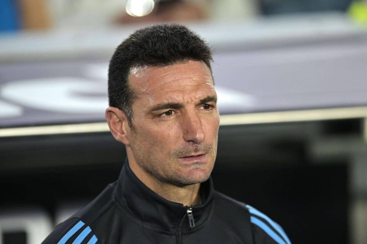 关于意甲新签约球员表现亮眼，球队实力大增的信息