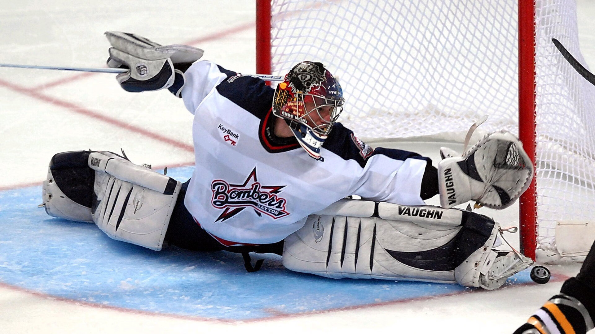 “荒野求生：沙漠、森林的极限对决”，荒野求生荒漠攻略